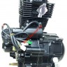 Двигатель в сборе 4Т 166FMM (CBB250) 223см3 (МКПП), 23178